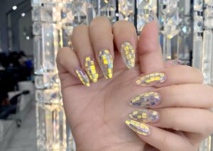 premier nail salon